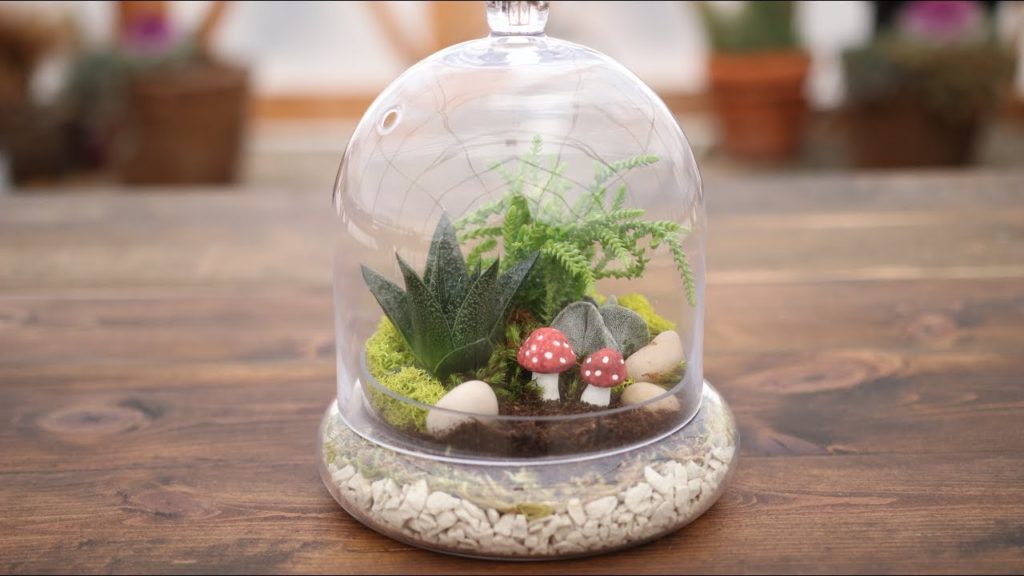 Quick Step by Step Succulent Terrarium