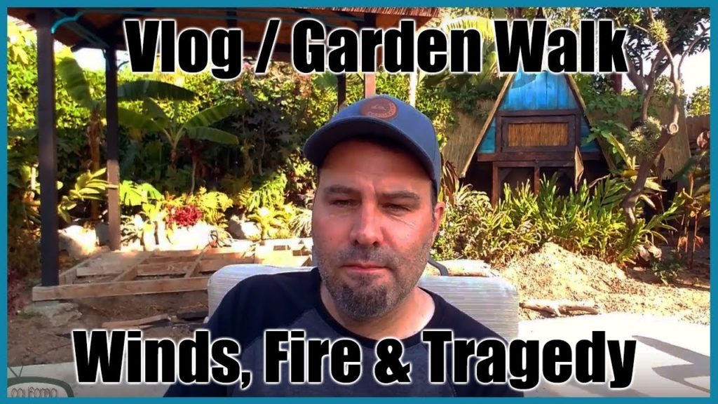 Winds, Fire, Tragedy - Garden Walk