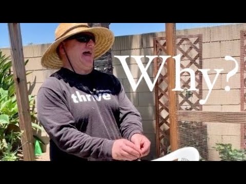 Jeb Gardener: Why did he touch it with his bare hands? Why did he touch it with his bare hands?