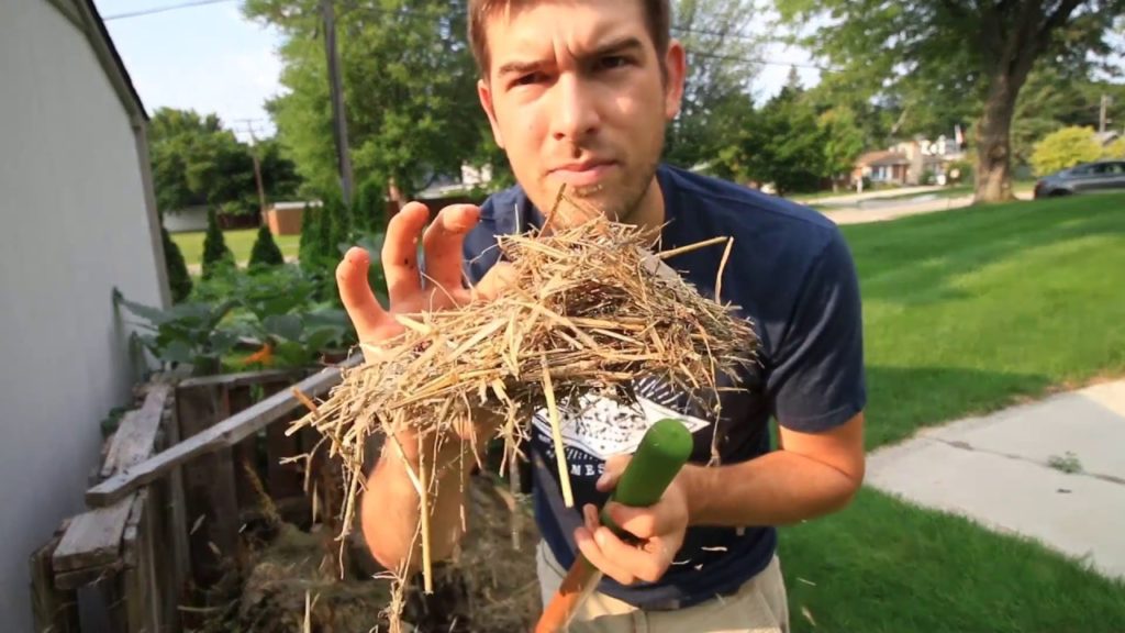 3 Reasons Your Compost Pile Is Going Cold or Not Heating Up
