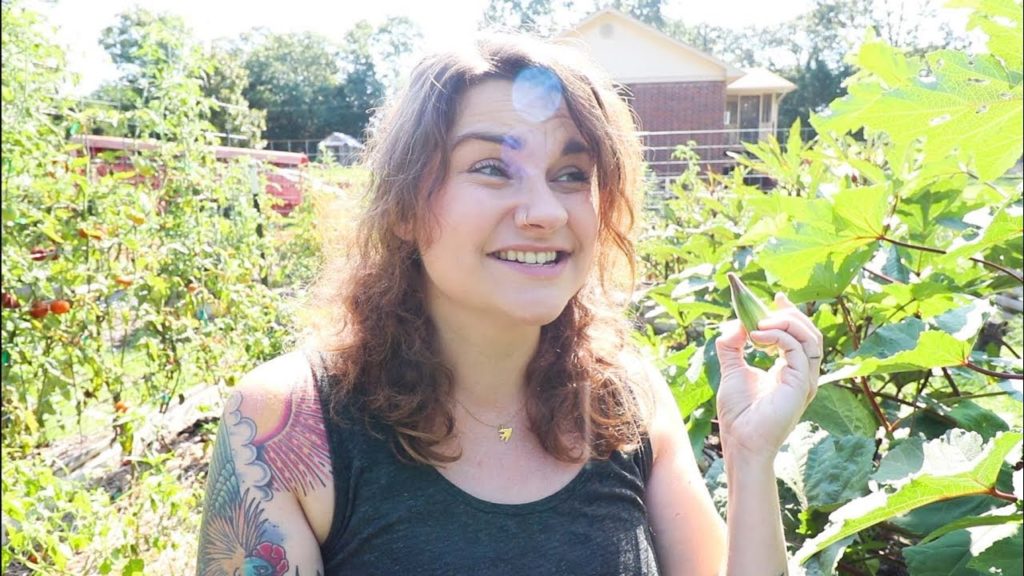 Roots and Refuge Farm: For The Love of Okra (Why Grow It and What to Do With It!) | Roots and Refuge Farm For The Love of Okra (Why Grow It and What to Do With It!) | Roots and Refuge Farm