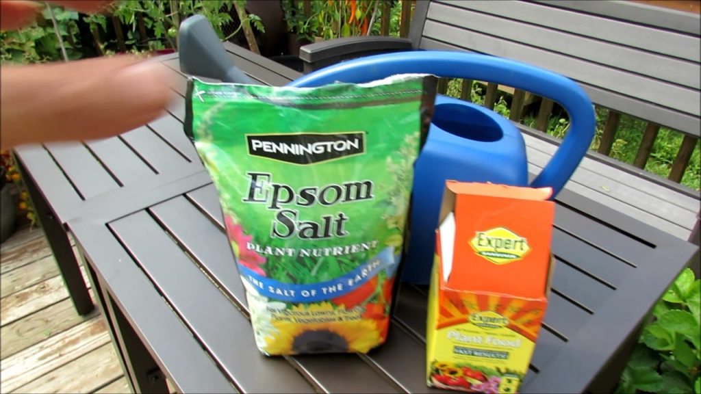 Gary Pilarchik: Container Vegetable Gardening: Using Epsom Salt, Fertilizer, My Mid August Routine Container Vegetable Gardening: Using Epsom Salt, Fertilizer, My Mid August Routine