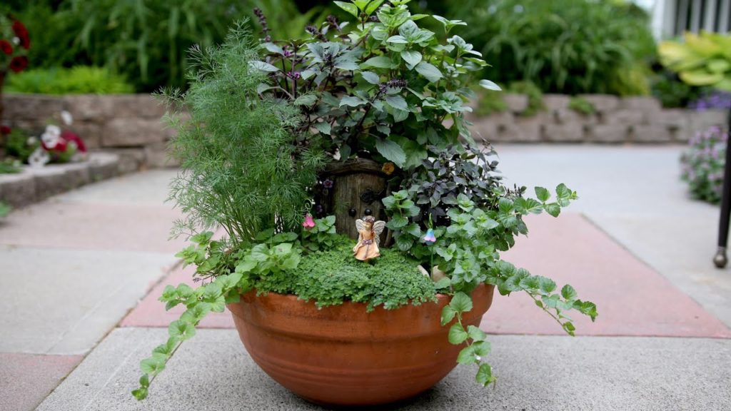 Herb Fairy Garden