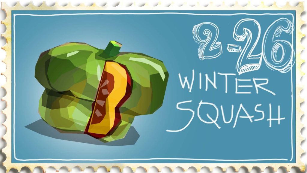 Growing Winter Squash - Garden Bed Experiment Update