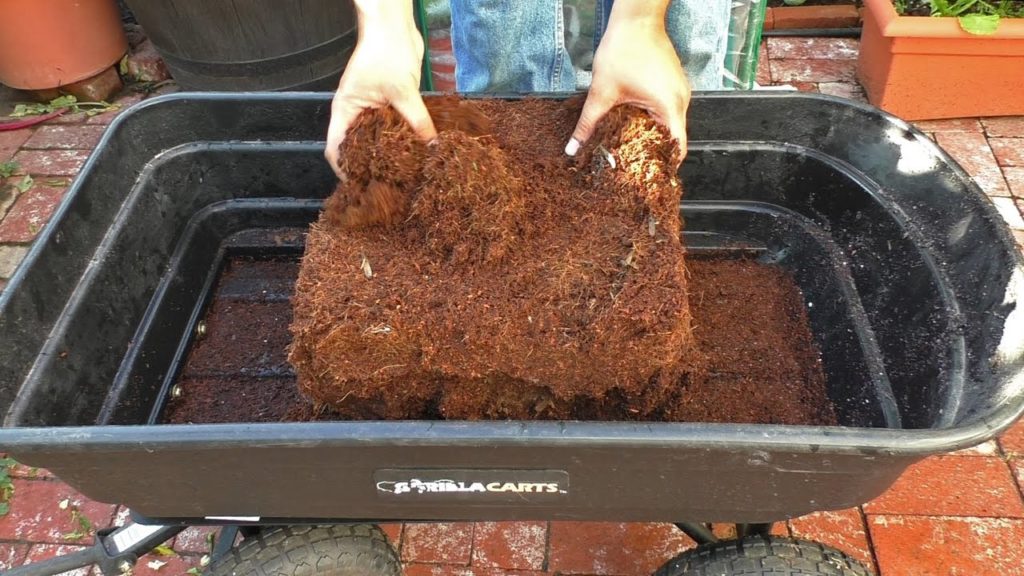 California Gardening: Coconut Coir Potting Mix Recipe – Coir, Compost, Perlite or Vermiculite Coconut Coir Potting Mix Recipe - Coir, Compost, Perlite or Vermiculite