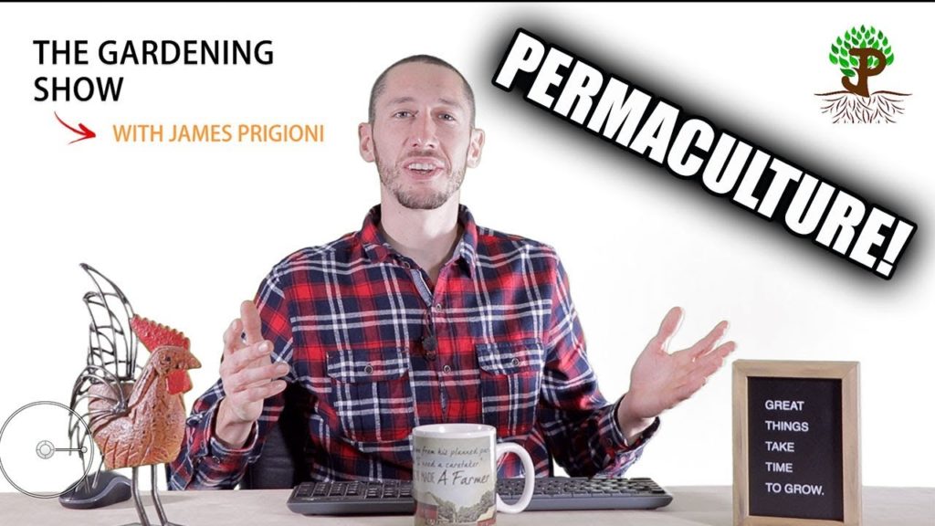 James Prigioni: Permaculture WHAT IS IT?? Permaculture WHAT IS IT??