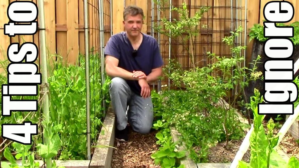 Popular Gardening Tips You Can Probably Ignore (Coffee Grounds, Sugar for Tomatoes)