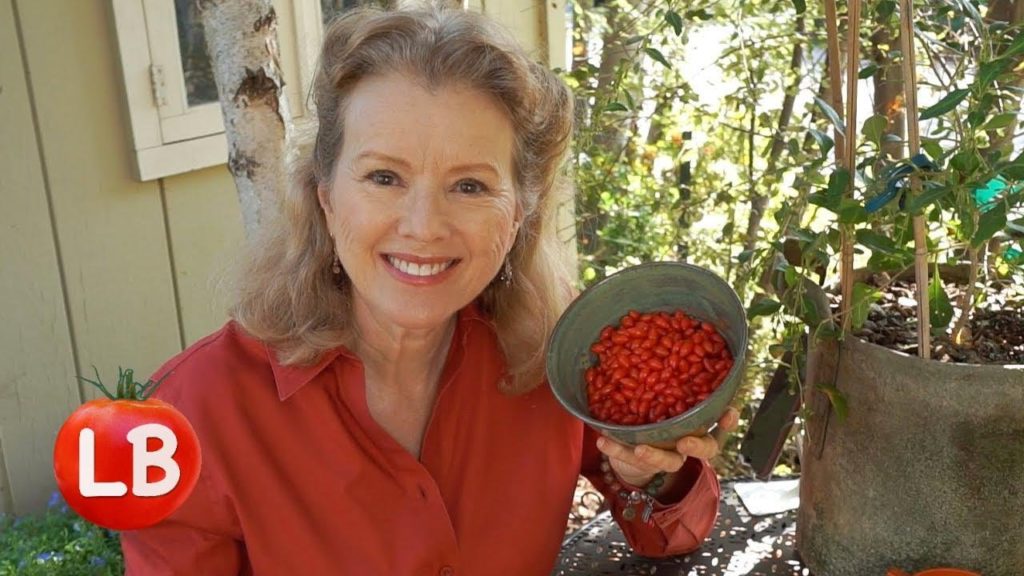 Kaye Kittrell: Growing and Drying Goji Berries | Vlog Growing and Drying Goji Berries | Vlog