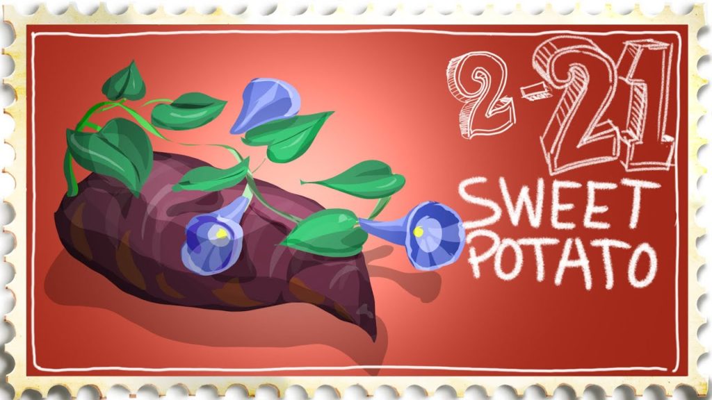 Growing Sweet Potatoes over Dying Peas