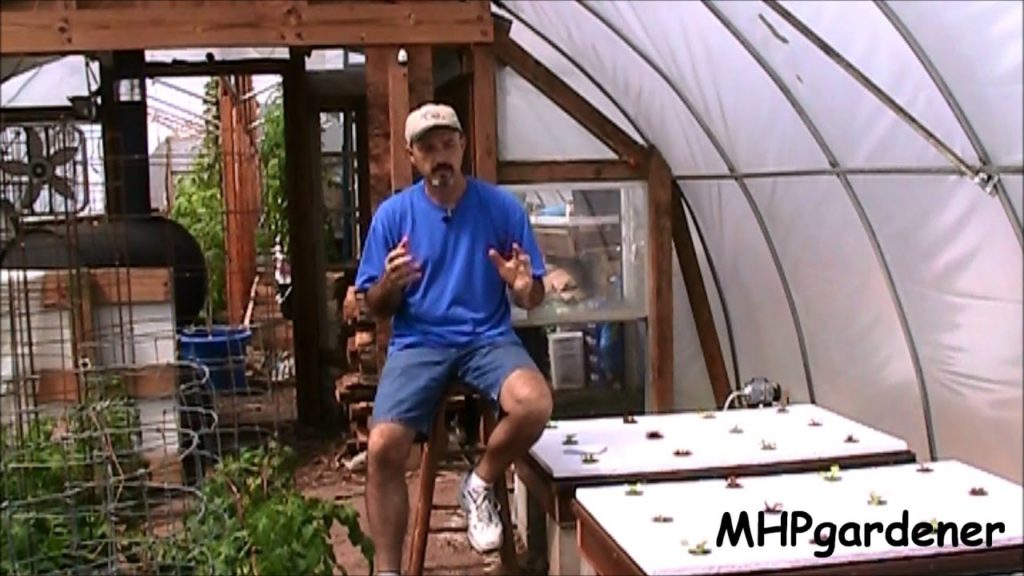 Next Hydroponic Fertilizer Experiment