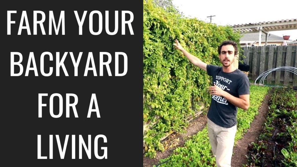 Epic Gardening: Backyard Farming: 2 Year Market Garden Update of Nature's Always Right Farms Backyard Farming: 2 Year Market Garden Update of Nature's Always Right Farms