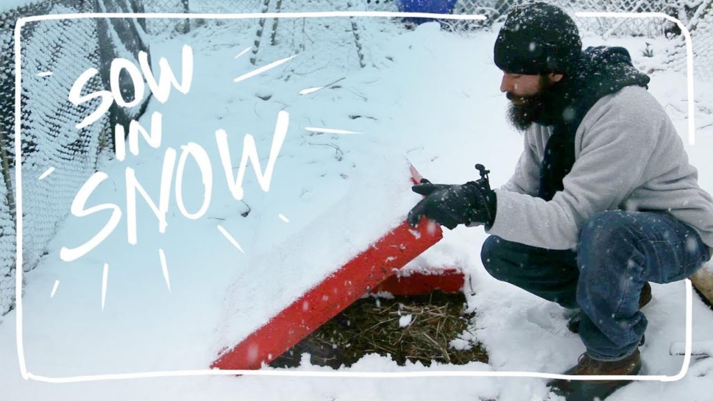 Siloé Oliveira: Planting Carrots Against All Odds Planting Carrots Against All Odds