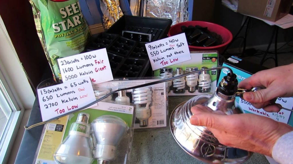 MFG 2015: Seed Starting with CFL Bulbs & Fixtures - Kelvin and Lumens Explained