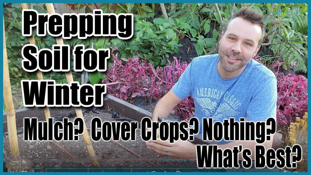 Prepping Soil For Winter // Mulch? Cover Crops? What's Best?