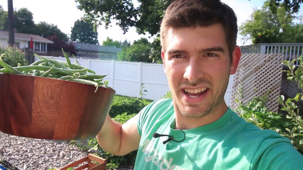 MASSIVE Late July Harvest From Our 100% Organic Garden