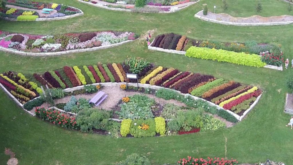 2016 AAS LDC Video: Summer Flowers in Noelridge