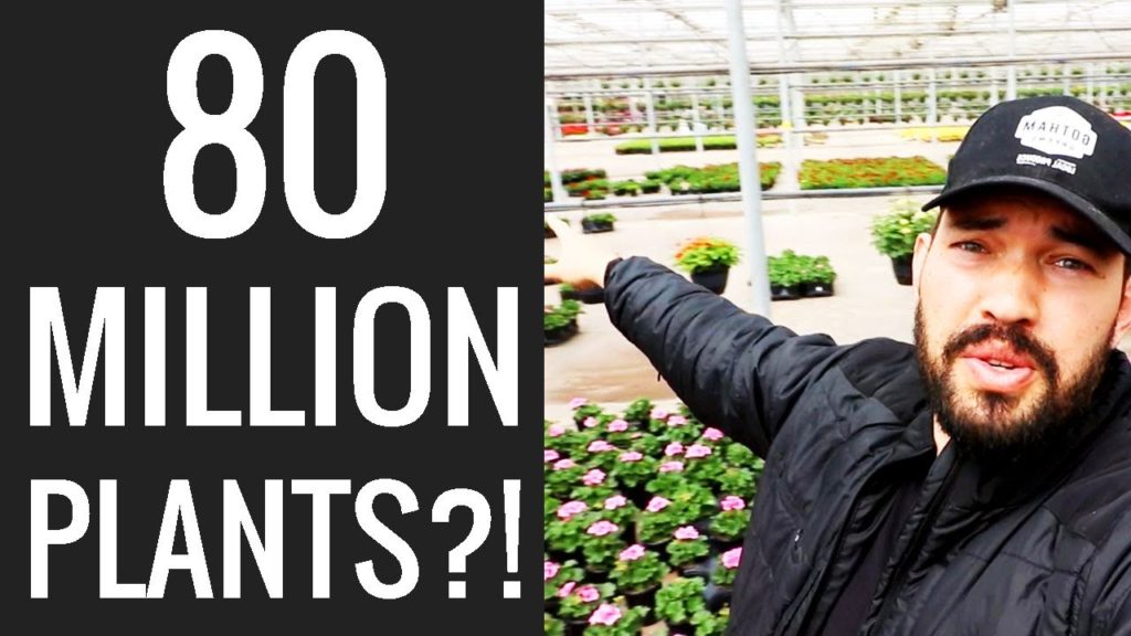 Epic Gardening: How To Grow MILLIONS of Plants a Year: Plant Nursery Tour How To Grow MILLIONS of Plants a Year: Plant Nursery Tour