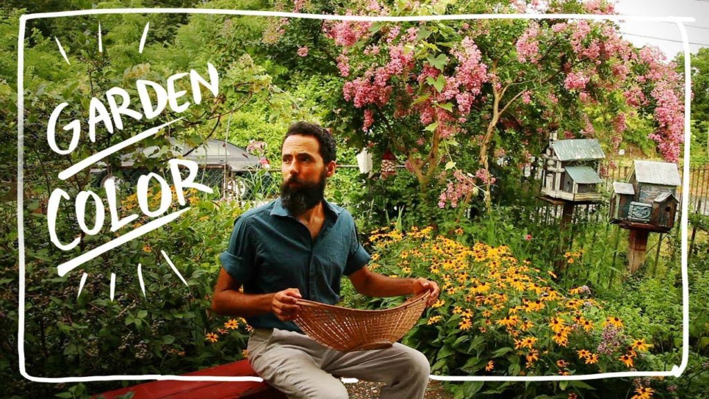 Grow Color in you Vegetable Garden - Growing Zinnia and Marigold