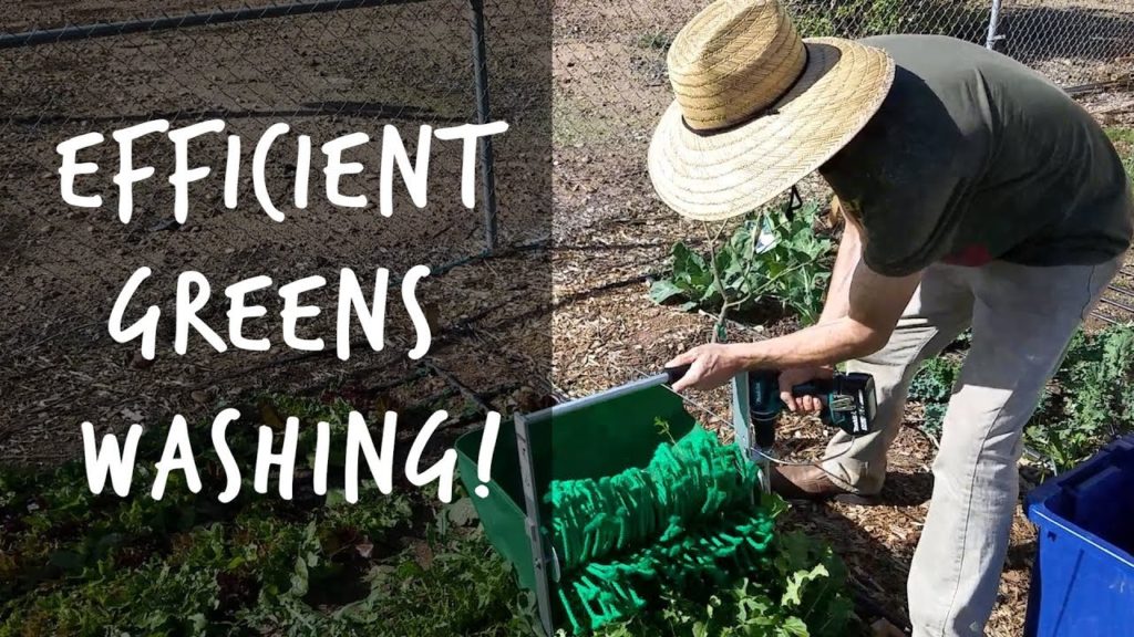 Epic Gardening: How to Harvest, Wash, and Dry Your Greens Quickly How to Harvest, Wash, and Dry Your Greens Quickly