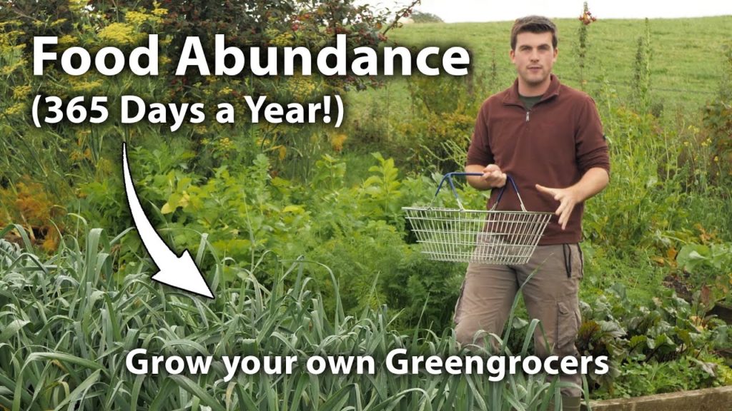Growing Food is Like a Private Greengrocers - But Better!