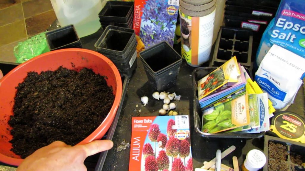 Gary Pilarchik: MFG 2015: Starting Flower Bulbs Indoors: Bring Color & Beneficial Insects to Your Vegetable Garden MFG 2015: Starting Flower Bulbs Indoors: Bring Color & Beneficial Insects to Your Vegetable Garden