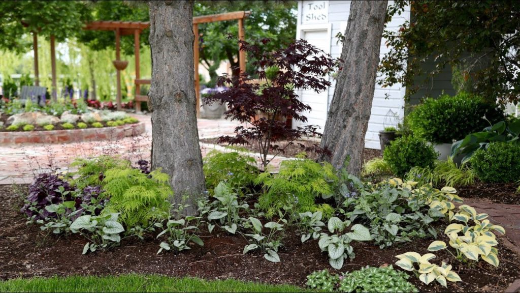 Garden Answer: Beautiful Foliage Plants for Part Shade! 🌿⛅️😍// Garden Answer Beautiful Foliage Plants for Part Shade! 🌿⛅️😍// Garden Answer