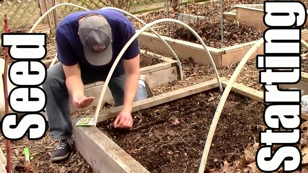 6 Seed Starting Tips: Save Time & Grow More