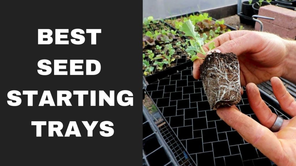 Best Seedling Trays: Soil Blocks, Winstrip, and Plug Trays Compared