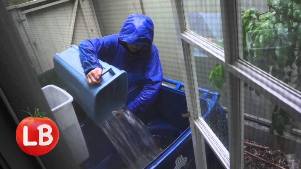 Kaye Kittrell: Catching Rainwater in a Downpour | Late Bloomer | Episode 5 Catching Rainwater in a Downpour | Late Bloomer | Episode 5