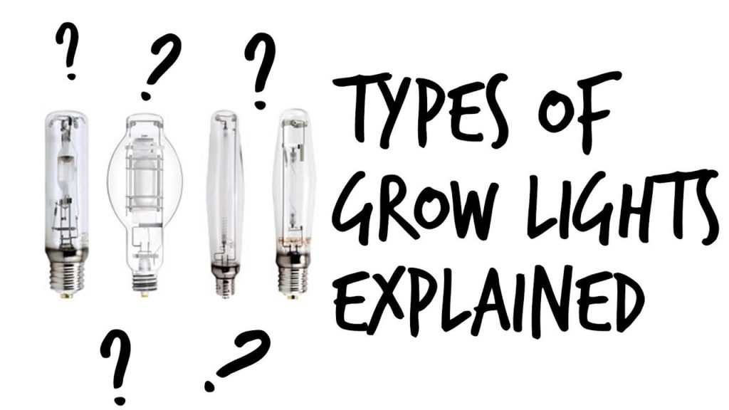 Indoor Grow Lights: CFL, LED, HPS, MH, CMH, and More Explained!