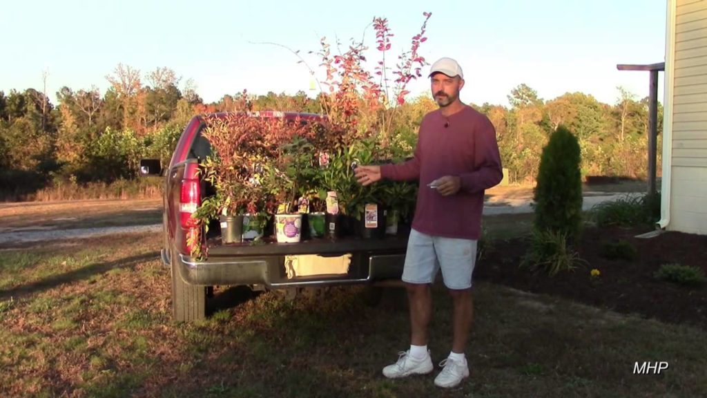 Landscaping - Saving Money at Lowe's