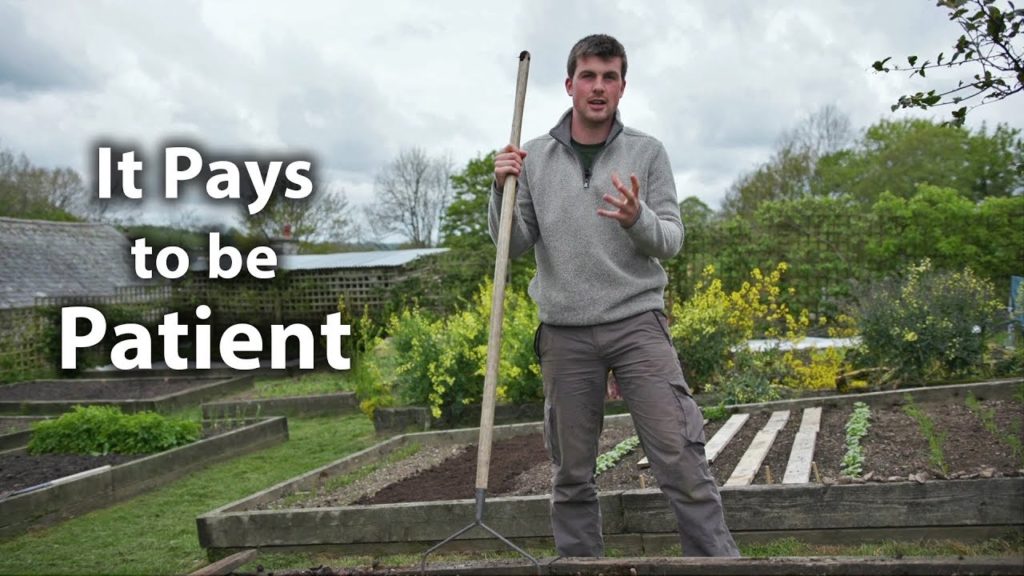 Patience is Paramount (We Don't Need to Rush Gardening)