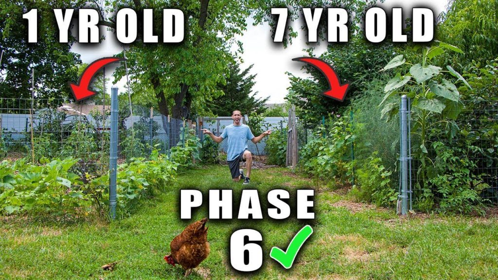 James Prigioni: HOW TO START A FOOD FOREST GARDEN PHASE 6 HOW TO START A FOOD FOREST GARDEN PHASE 6