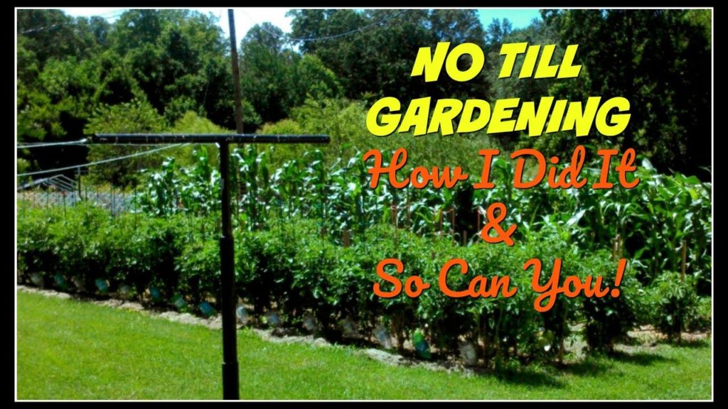 NO TILL GARDENING~How I Did It & So Can You! NO TILL GARDENING~How I Did It & So Can You!