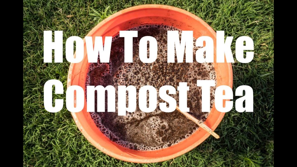 How to Make Compost Tea - Quick, Easy and FREE!