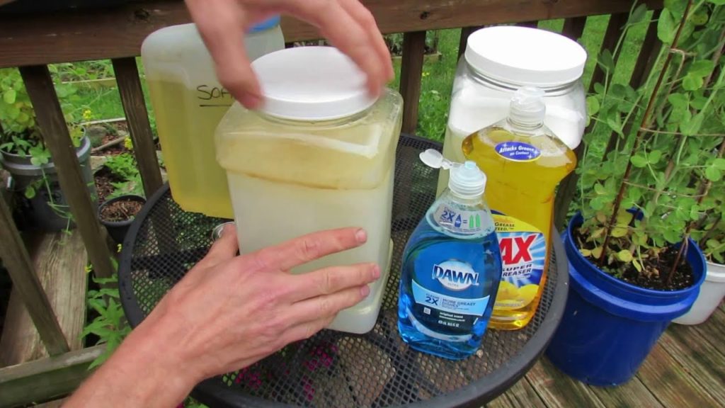 Gary Pilarchik: The Reasons & Details on How Much Soap to Use in Garden Oil Sprays: IT VARIES! – TRG 2016 The Reasons & Details on How Much Soap to Use in Garden Oil Sprays: IT VARIES! - TRG 2016