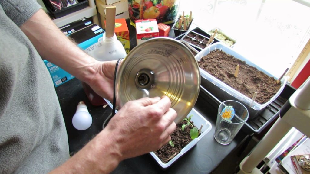 Gary Pilarchik: How to Build Your First Vegetable Grow Light for Seed Starting Tomatoes: Easy & Inexpensive (1 of 3) How to Build Your First Vegetable Grow Light for Seed Starting Tomatoes: Easy & Inexpensive (1 of 3)