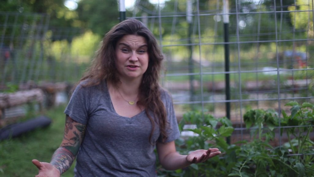 Using Cattle Panels for Vertical Gardening in Raised Beds
