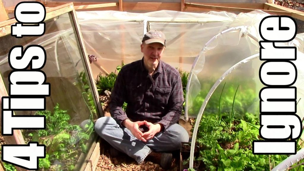 One Yard Revolution: Popular Gardening Tips You Can Probably Ignore (Phosphorus Fertilizer,Ladybugs,Wood Chips) Popular Gardening Tips You Can Probably Ignore (Phosphorus Fertilizer,Ladybugs,Wood Chips)