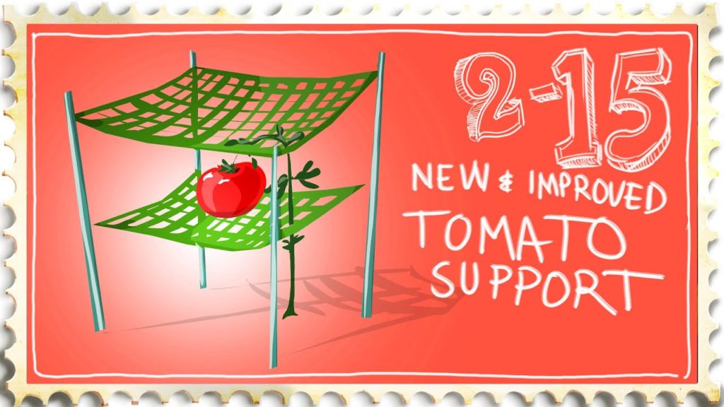 Siloé Oliveira: Best Tomato Support / Cage / Trellis Best Tomato Support / Cage / Trellis