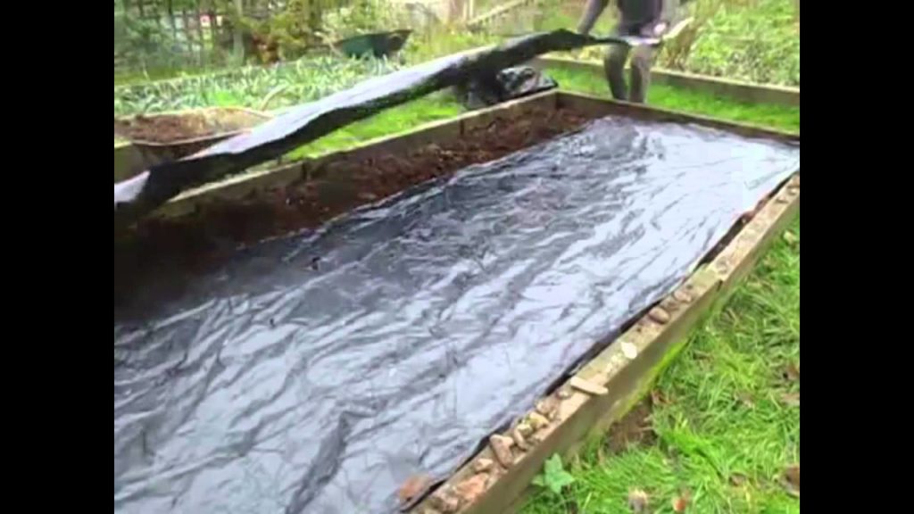 Huw Richards: 5 of the Best Organic Vegetable Growing tips 5 of the Best Organic Vegetable Growing tips