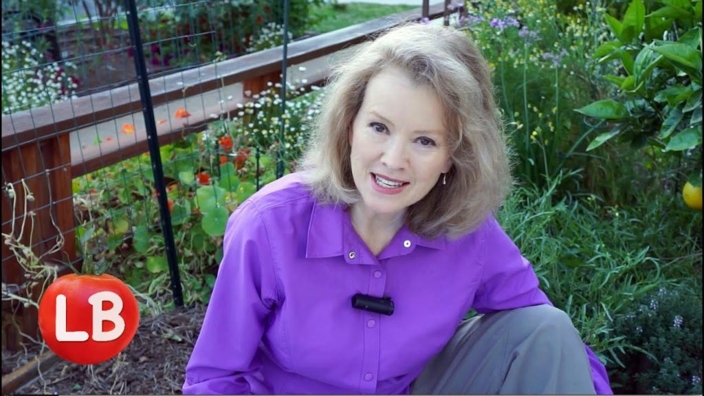 Extreme Garden Makeover Day 1 | Late Bloomer | Episode 6