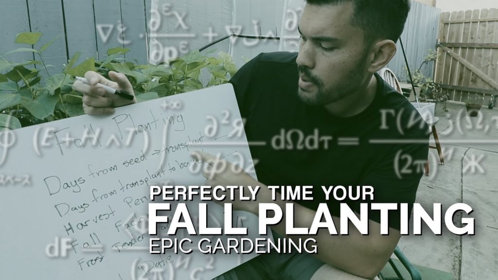 Epic Gardening: How to PERFECTLY Time Your Fall Garden Planting How to PERFECTLY Time Your Fall Garden Planting