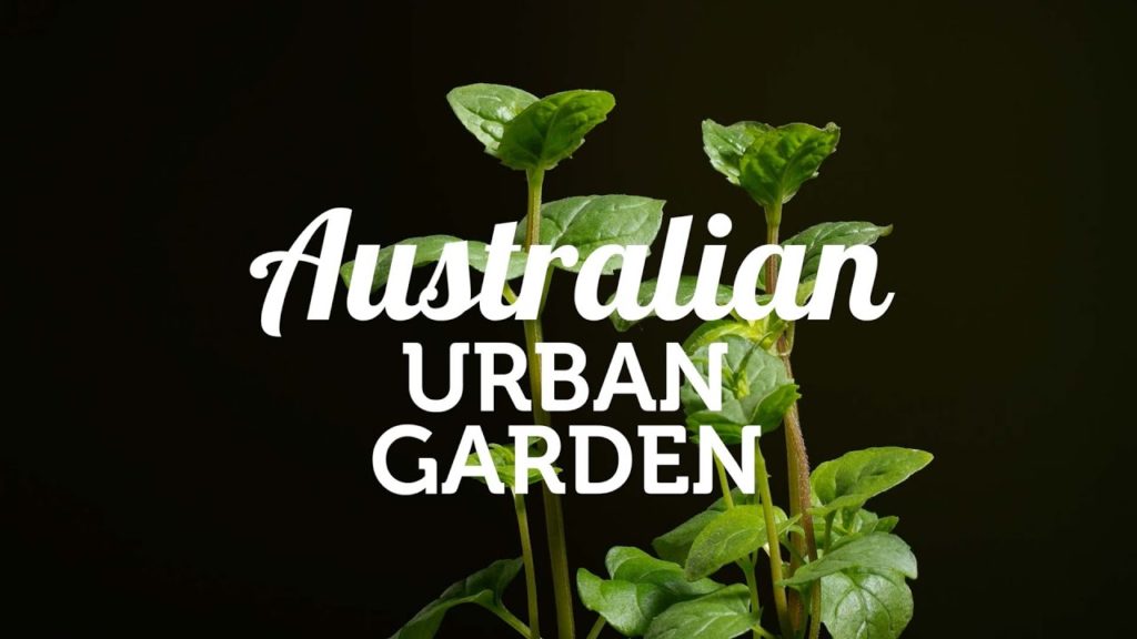 Alberta Urban Garden: The New Australian Urban Garden The New Australian Urban Garden