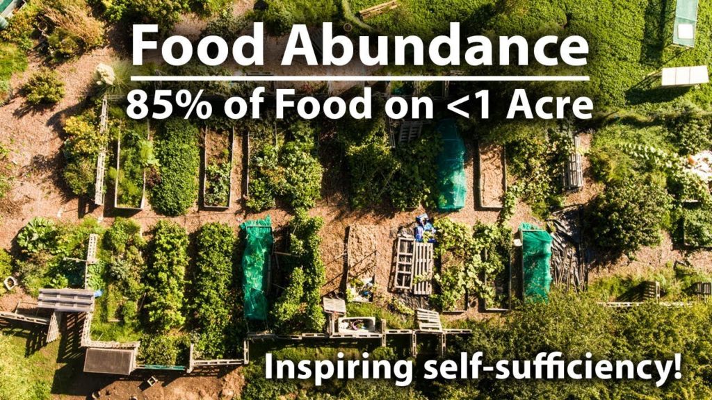 Growing 85% of Their Food on UNDER 1 Acre!