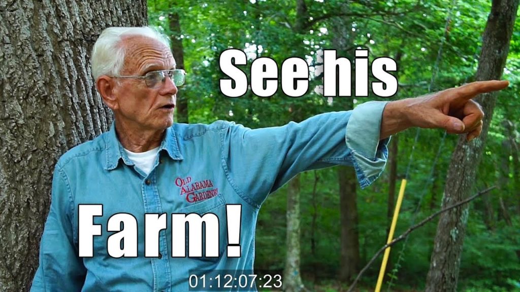 Kaye Kittrell: Old Alabama Gardener | Tour, Pests, Tips | Part 3 | Southeast Gardens Old Alabama Gardener | Tour, Pests, Tips | Part 3 | Southeast Gardens