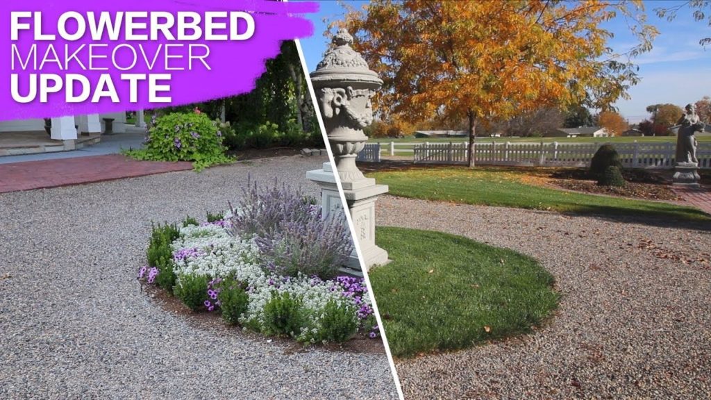 Flowerbed Makeover Update // Garden Answer