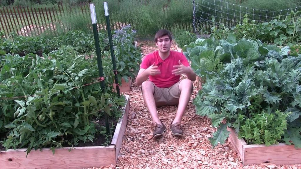 How to Have a Completely Organic Pest Free Garden by Simply Planting Lots of Plants!