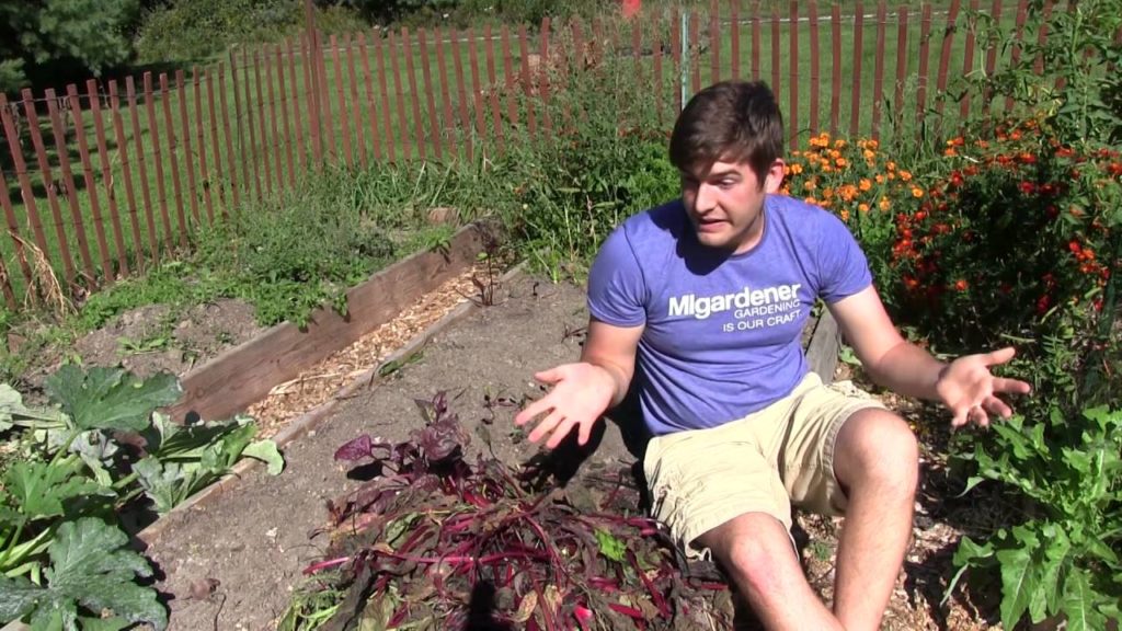 MIgardener: They Took Them ALL They Took Them ALL