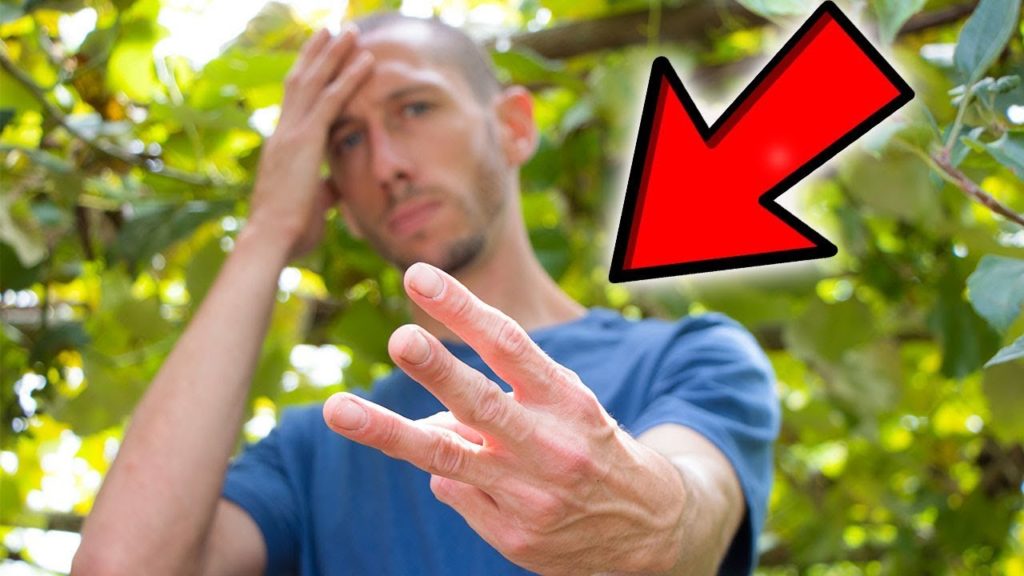 My 3 BIGGEST Garden MISTAKES This Year!